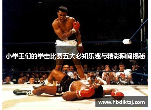 小拳王们的拳击比赛五大必知乐趣与精彩瞬间揭秘