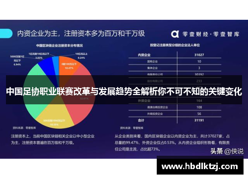 中国足协职业联赛改革与发展趋势全解析你不可不知的关键变化