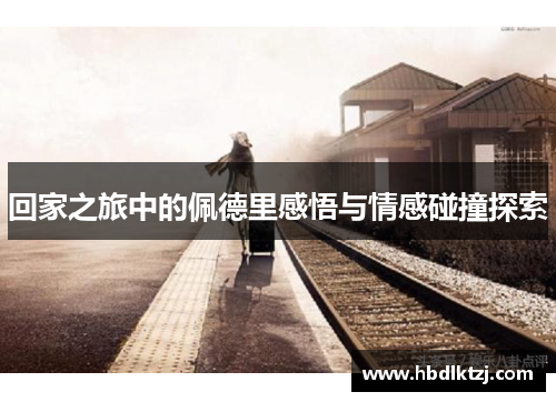 回家之旅中的佩德里感悟与情感碰撞探索