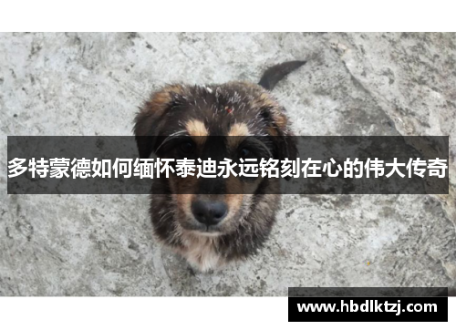 多特蒙德如何缅怀泰迪永远铭刻在心的伟大传奇