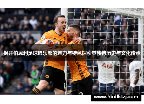 揭开伯恩利足球俱乐部的魅力与特色探索其独特历史与文化传承
